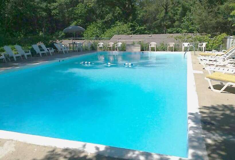 Отель Silver Spruce Resort