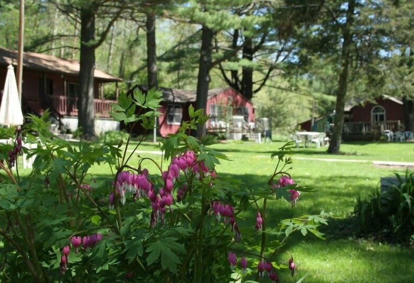 Отель Silver Spruce Resort