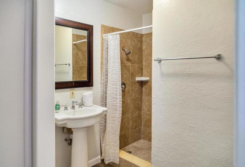 ホテル Parrot Nest