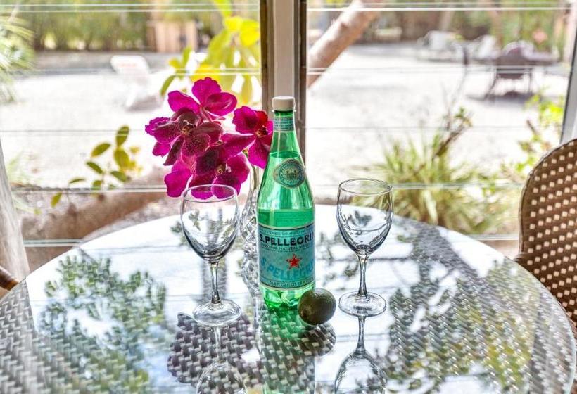 ホテル Parrot Nest