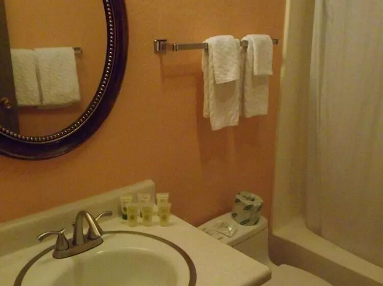 Hotelli Victorian Inn