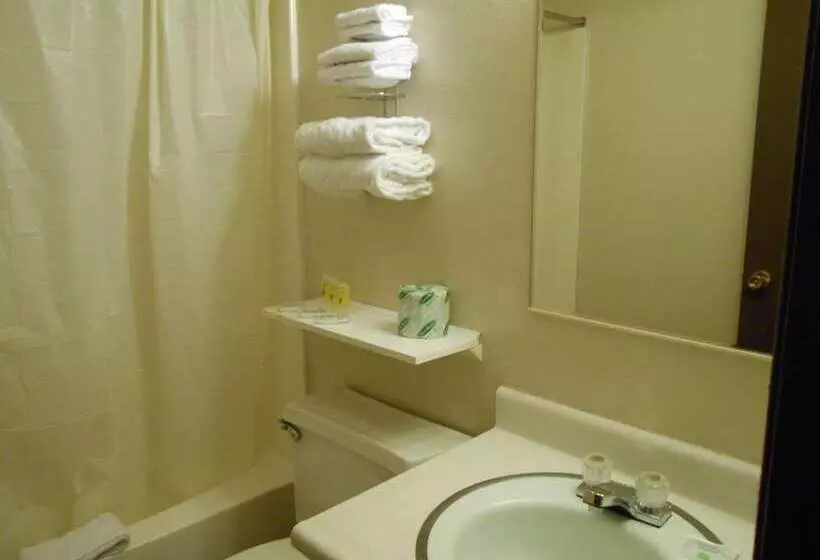 Hotelli Victorian Inn