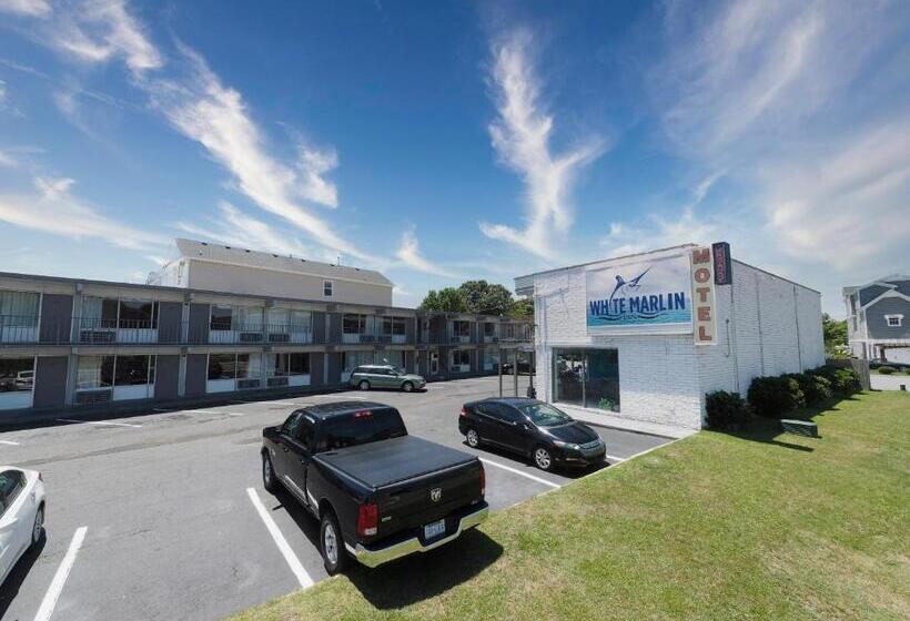 ホテル White Marlin Inn  Virginia Beach