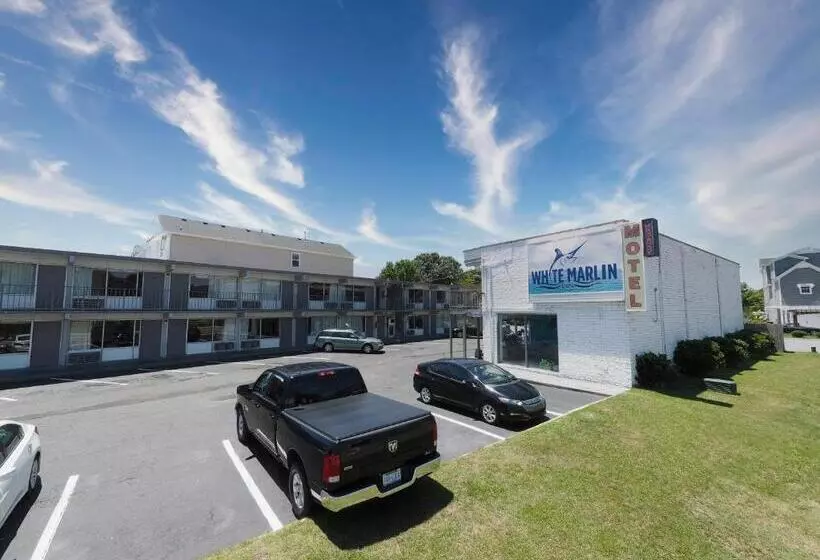 هتل White Marlin Inn  Virginia Beach