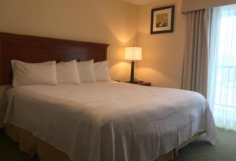 酒店 White River Inn & Suites