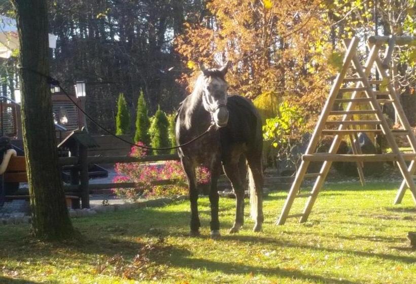 فندق Zajazd Pod Niedźwiedziem