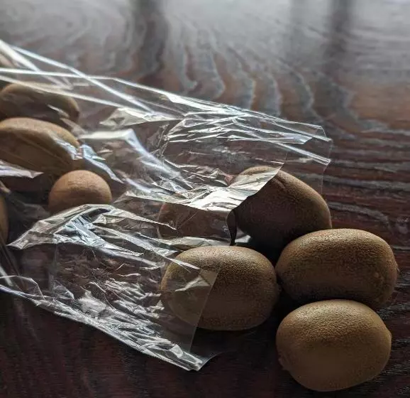 Retkeilymaja 深山邸miyama Tei