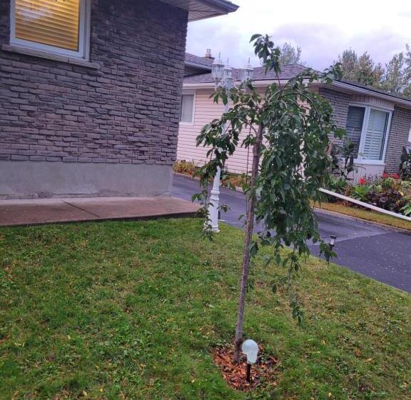 تختخواب و صبحانه Close To Everything In The Falls And Notl