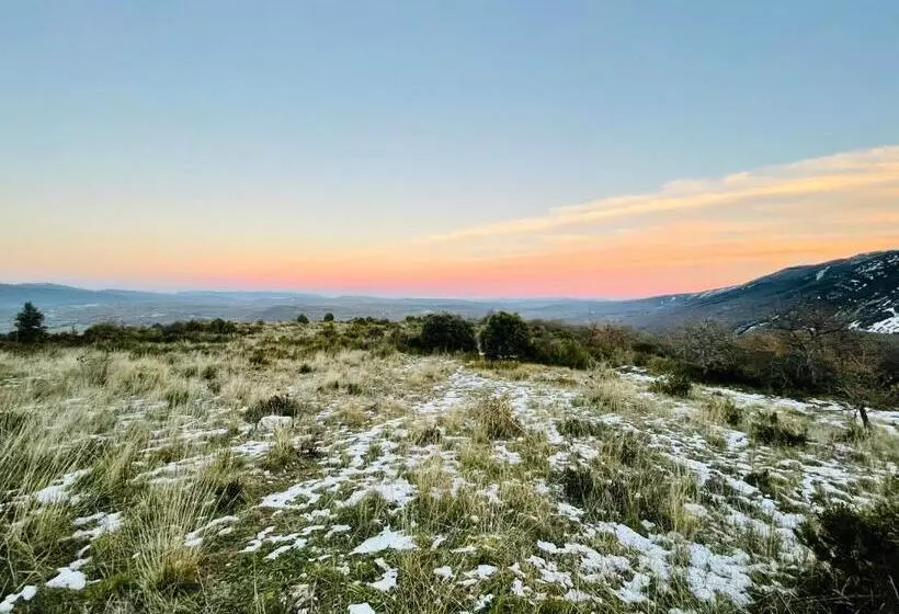 ベッドアンドブレックファースト Histoire De Cru