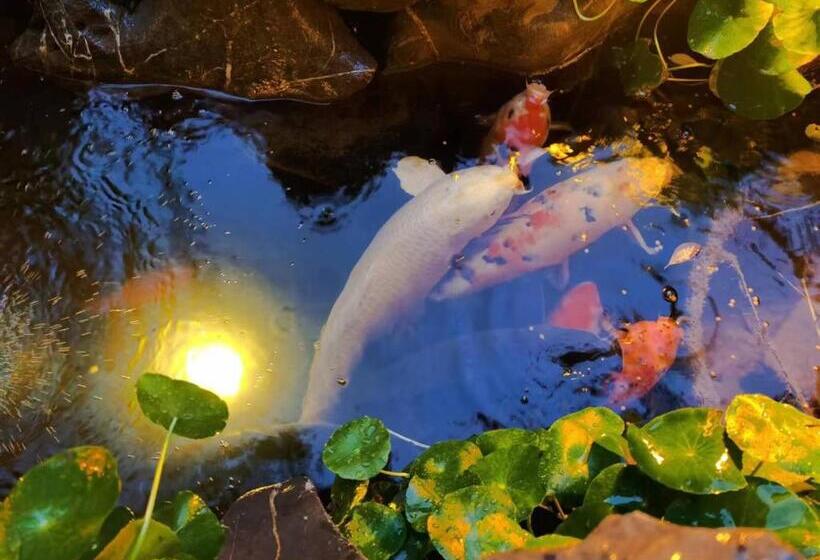 Hotel 北京悦明元星空白塔景观四合院民宿