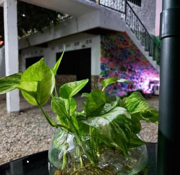 هتل Campestre Diamante Real