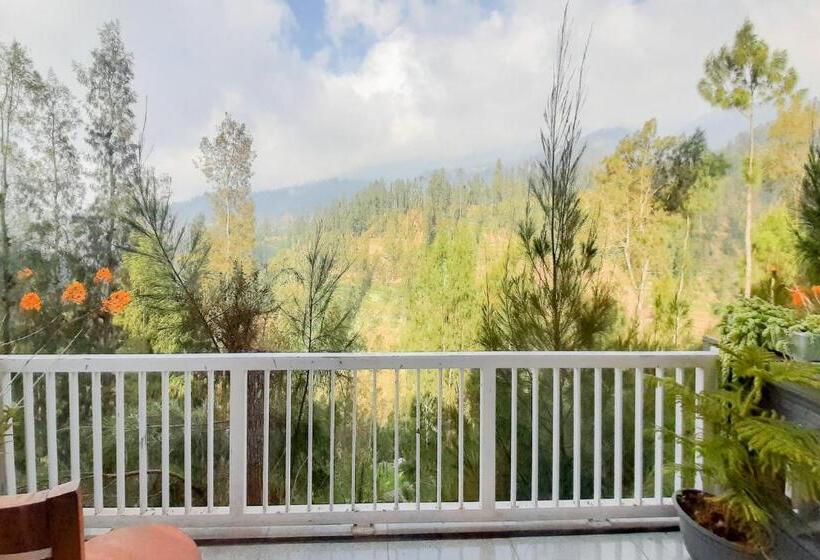 酒店 Delvia Bromo Homestay Mitra Reddoorz