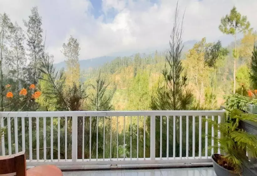 Hotelli Delvia Bromo Homestay Mitra Reddoorz