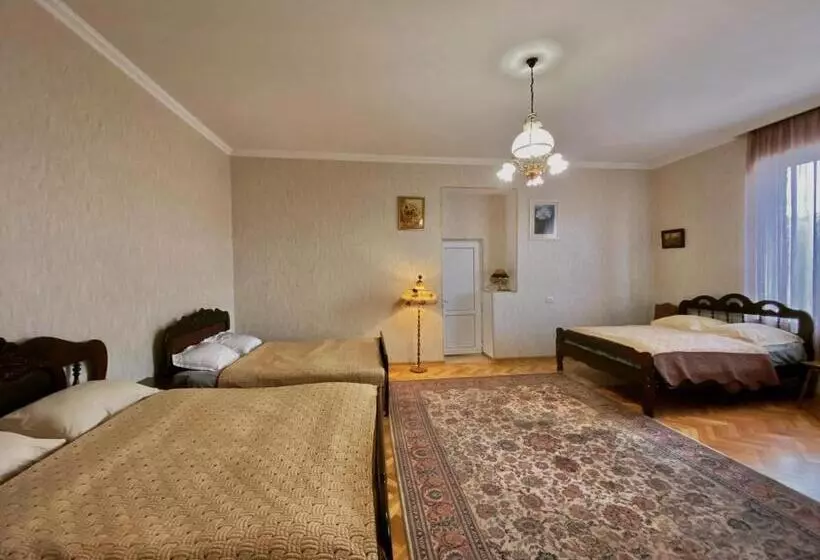 სასტუმრო ამელი/hotel Ameli