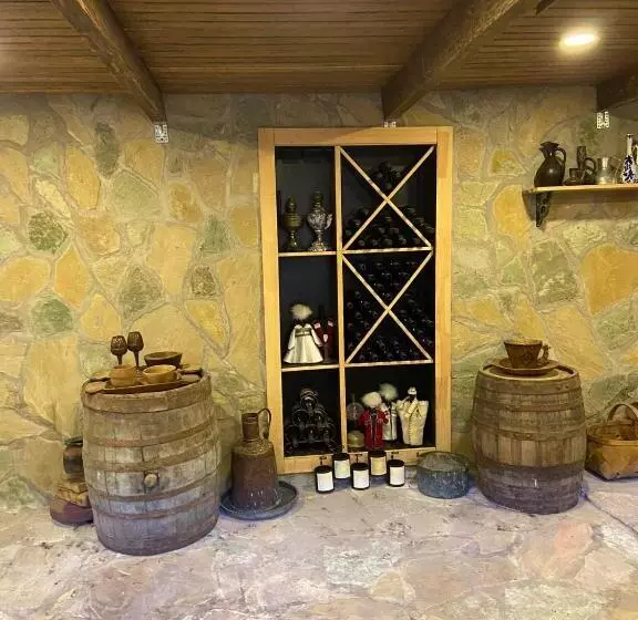 სასტუმრო ამელი/hotel Ameli