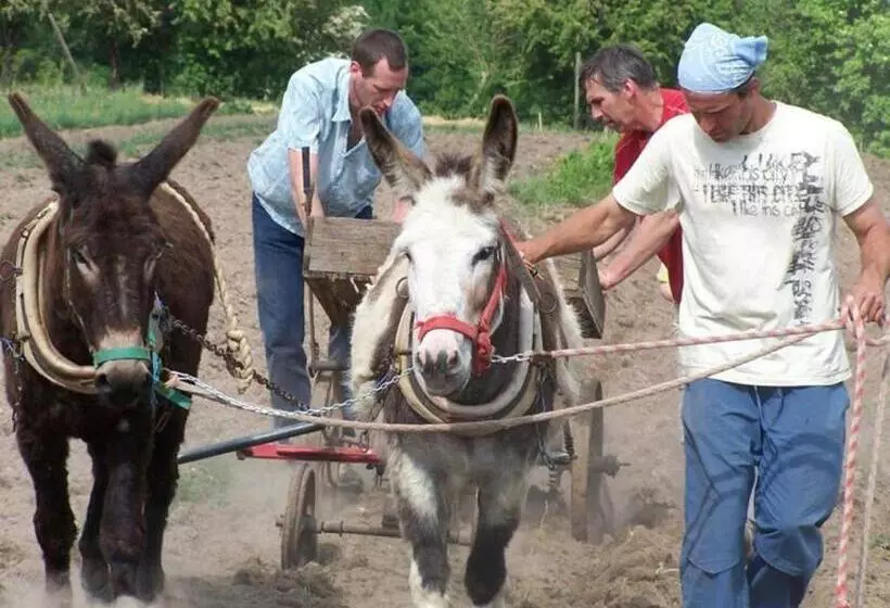 Aamiaismajoitus (B&B) Chambres D Hôtes Du Coq à L Ane