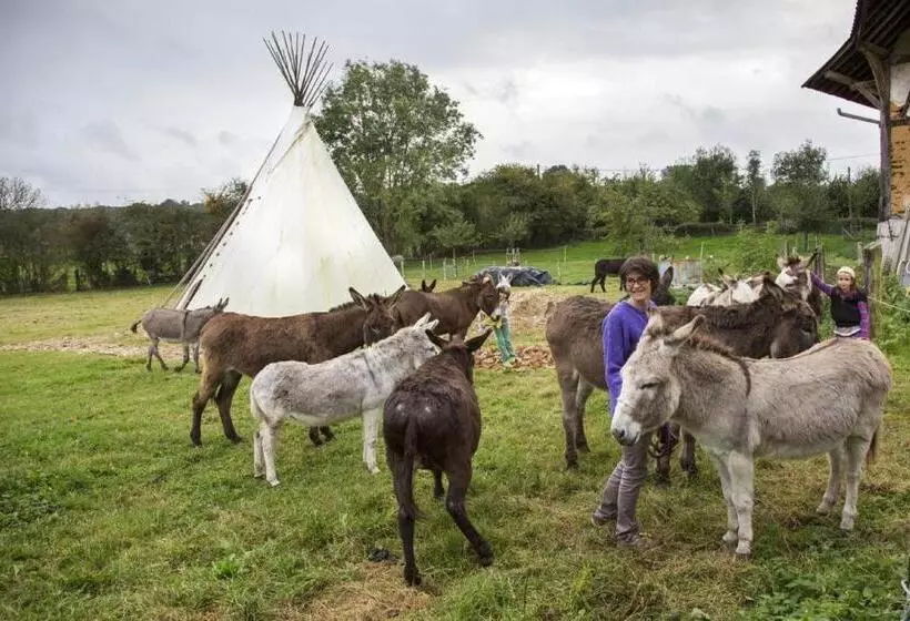 Aamiaismajoitus (B&B) Chambres D Hôtes Du Coq à L Ane