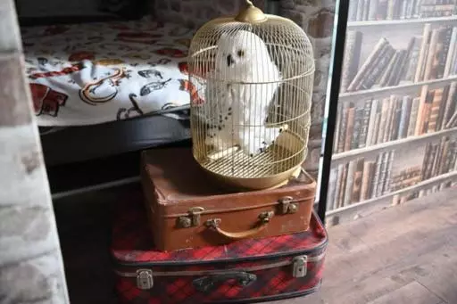 Aamiaismajoitus (B&B) Le Terrier, Chambre D Hôte à Thème Le Sorcier à Lunettes