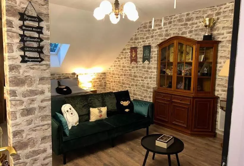 Aamiaismajoitus (B&B) Le Terrier, Chambre D Hôte à Thème Le Sorcier à Lunettes