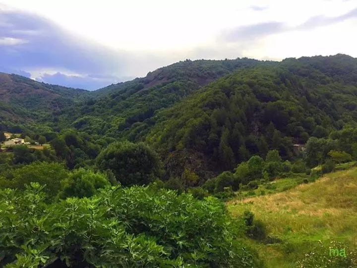 Aamiaismajoitus (B&B) Mas De Troupelas