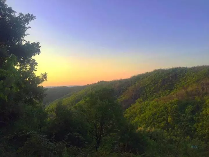 Aamiaismajoitus (B&B) Mas De Troupelas