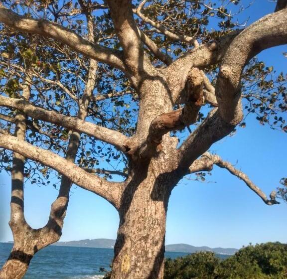 Hostel Canto Da Praia 109