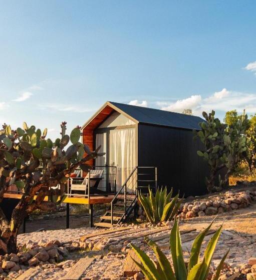 בית מלון כפרי Coyote