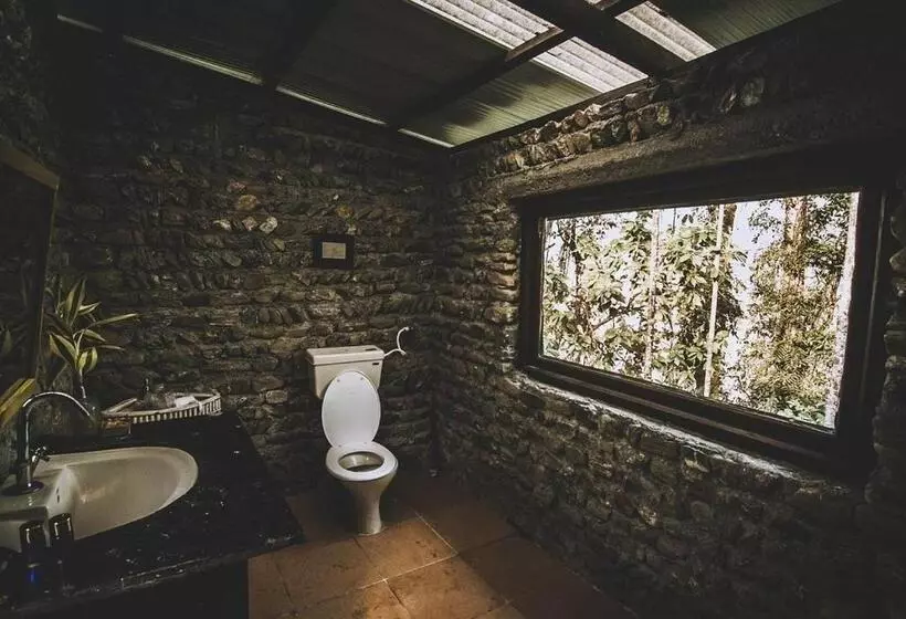 Hotelli Petrichor   Regenerative Living Experience