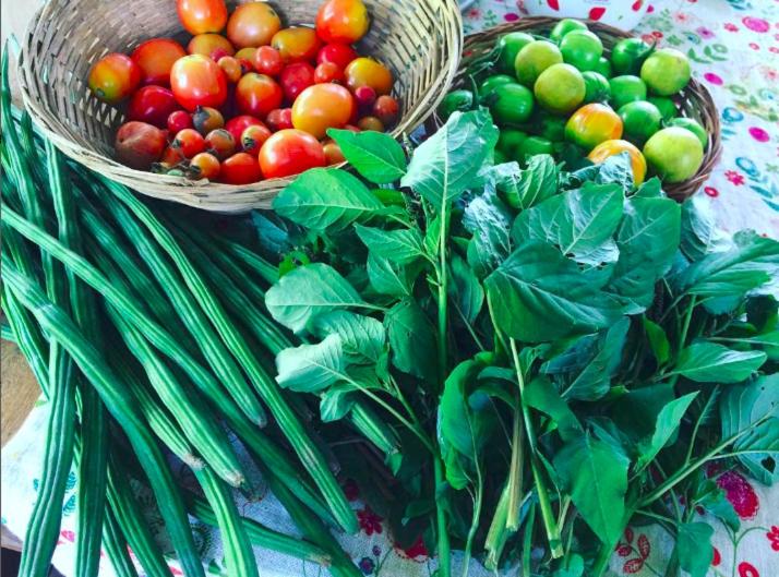 Hotel Petrichor   Regenerative Living Experience