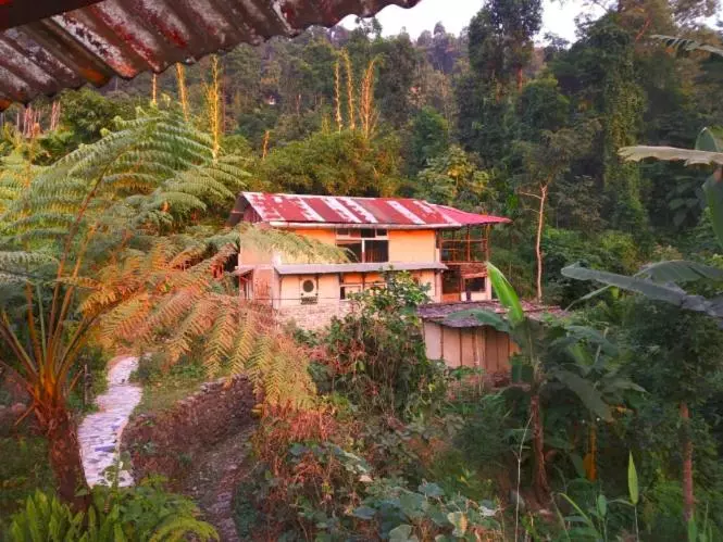 Hotelli Petrichor   Regenerative Living Experience