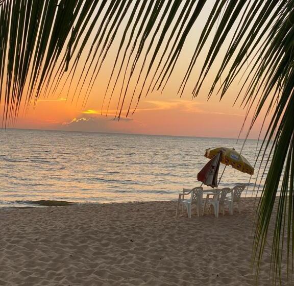 膳宿费 Farol Shaw / Shaw Lighthouse