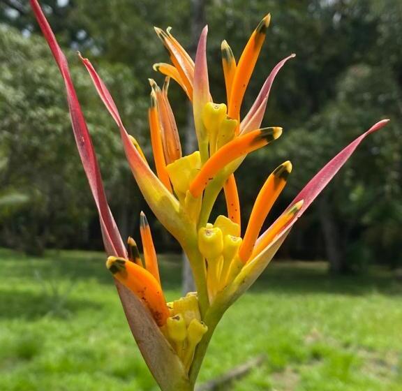 膳宿费 Farol Shaw / Shaw Lighthouse