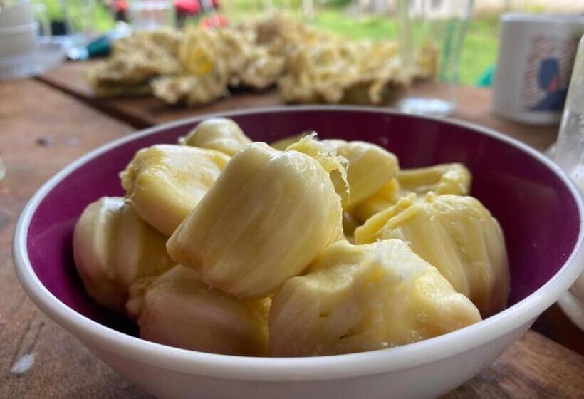 膳宿费 Farol Shaw / Shaw Lighthouse