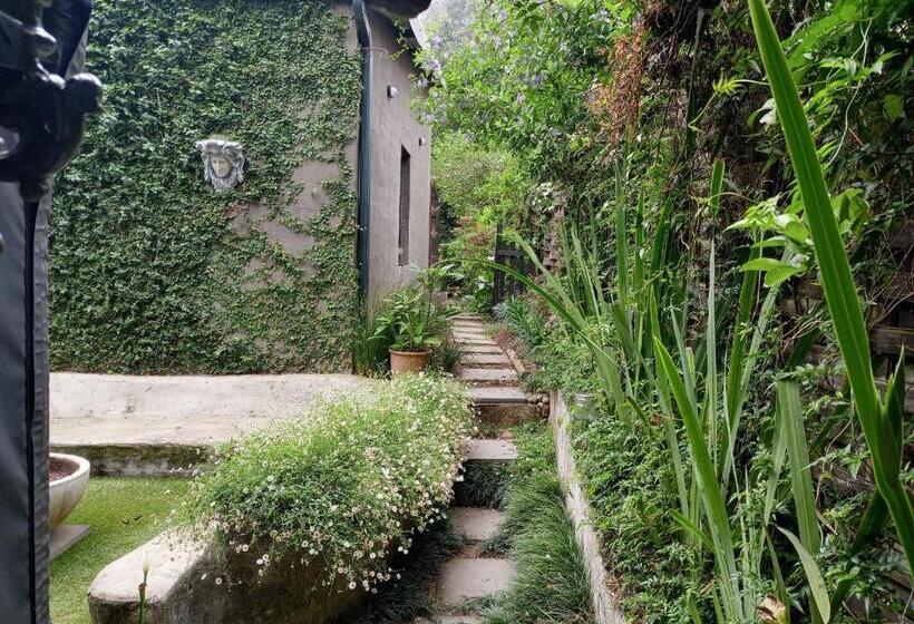 Пансион Grauhaus