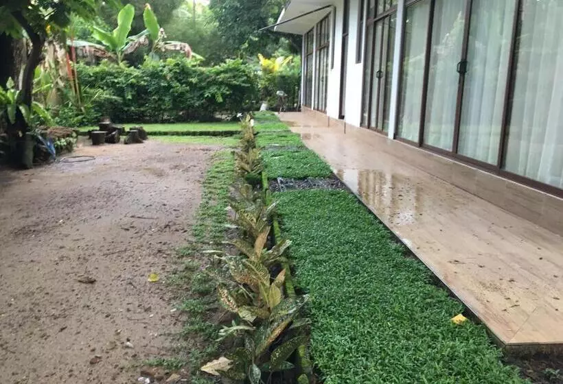 Majatalo New Stay Inn