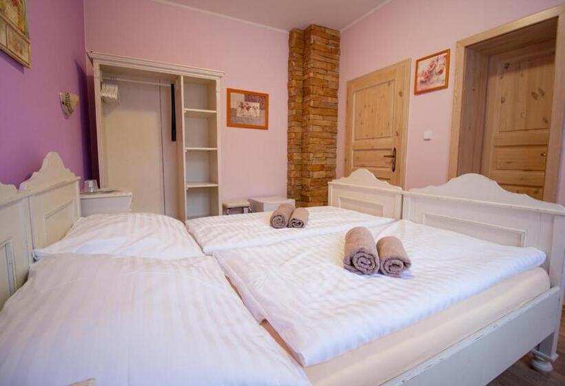 Panzió Penzion Anebel