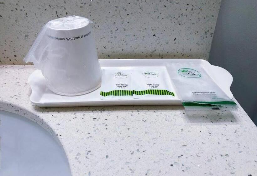 Pansiyon Si & Daniel Home Near Yvr Airport & Skytrain Separate Entry Free Parking