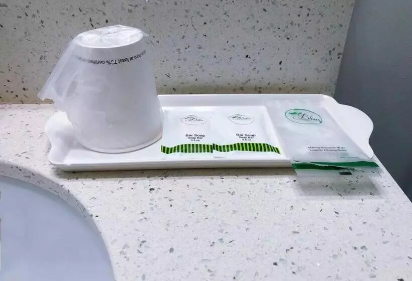 Majatalo Si & Daniel Home Near Yvr Airport & Skytrain Separate Entry Free Parking