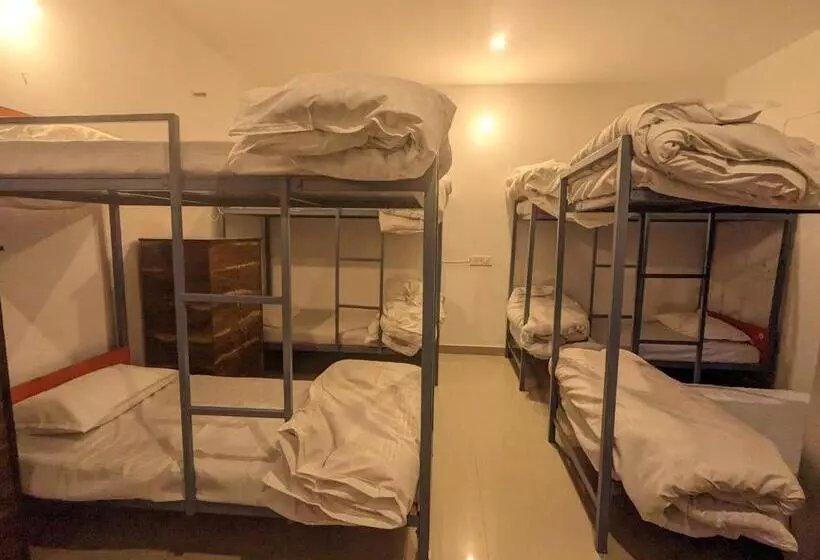 ユースホステル Wandering Musician Bir