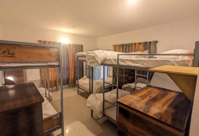 הוסטל Wandering Musician Bir