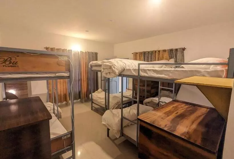 ユースホステル Wandering Musician Bir