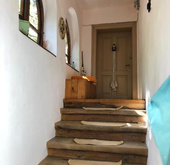 مبيت وإفطار Facilitati Cazare Raluca