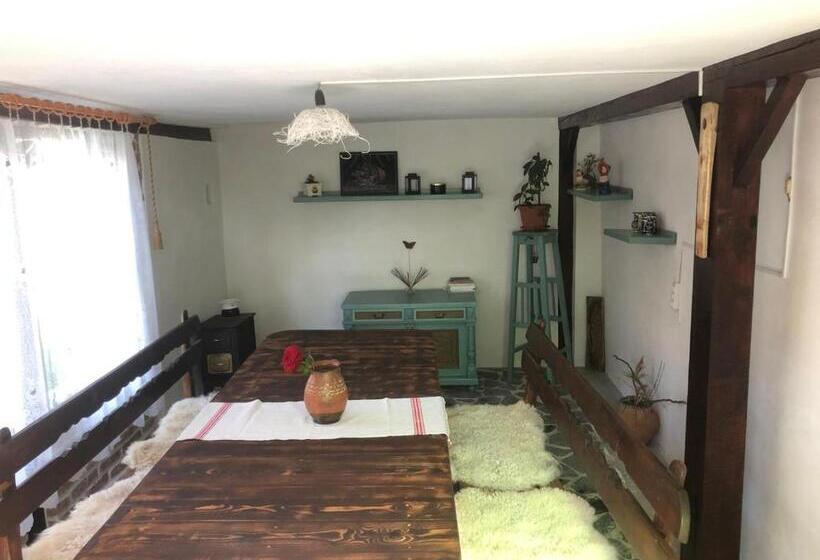 مبيت وإفطار Facilitati Cazare Raluca