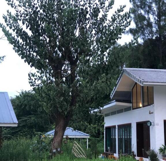 Bed and Breakfast The Little Clay House