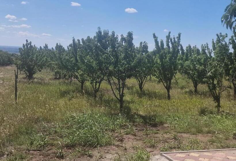 호텔 Big Bear Hunting Lodge