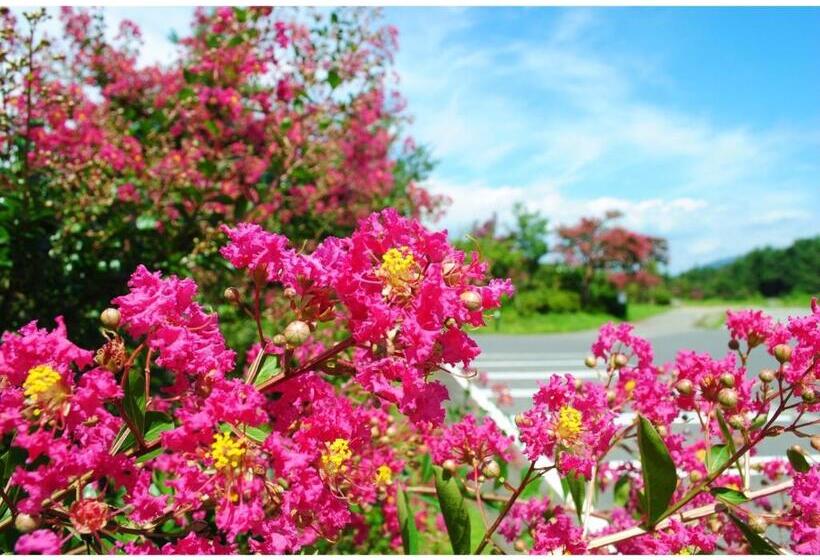 ホテル Kajitsu No Mori Vacation Stay 53781v