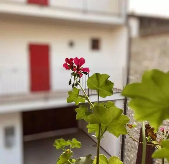 ペンション La Volpe Rossa Rooms And Apartments
