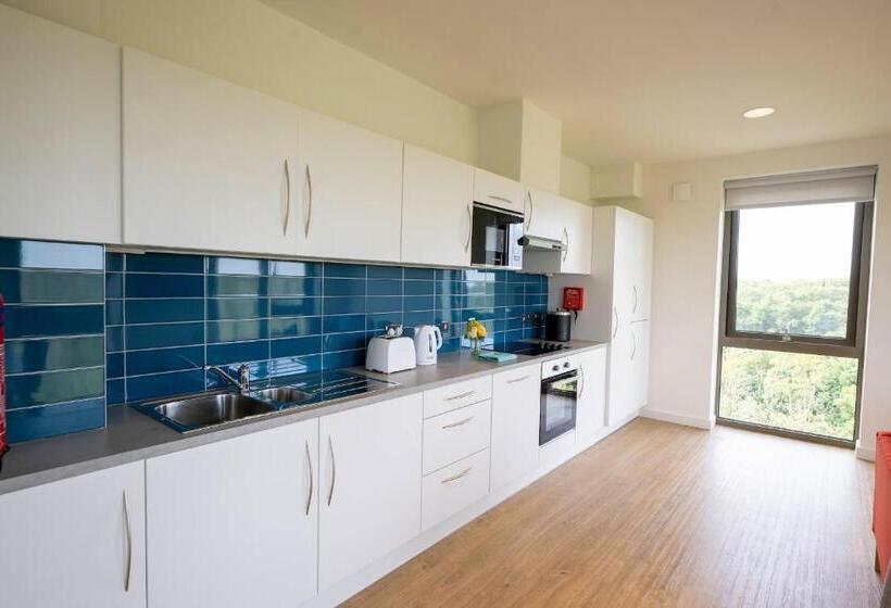 旅馆 University Of Galway Rooms