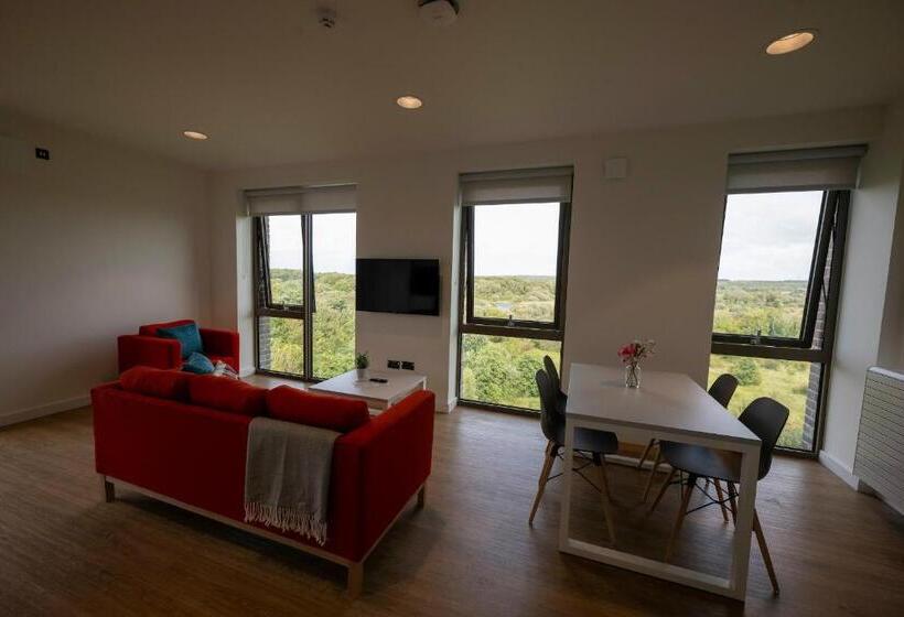 旅馆 University Of Galway Rooms