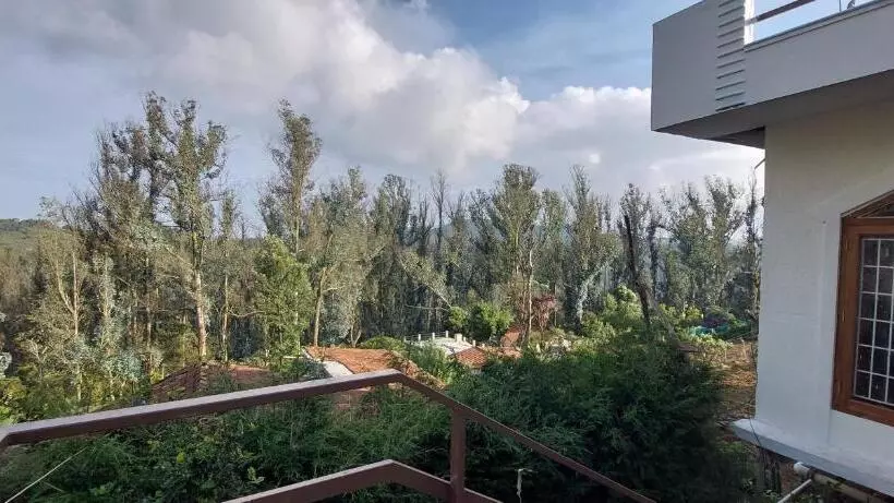 Aamiaismajoitus (B&B) Anya Paradise